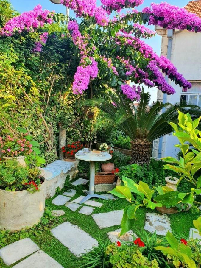 Rooms Garden - With A View Ντουμπρόβνικ Εξωτερικό φωτογραφία